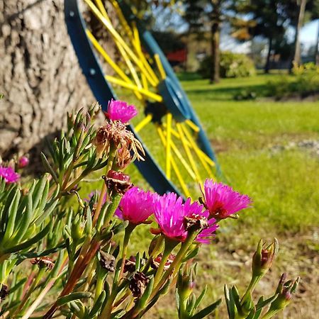 Cabanas Risso Villa Villarrica Dış mekan fotoğraf