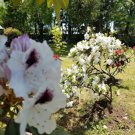 Cabanas Risso Villa Villarrica Dış mekan fotoğraf