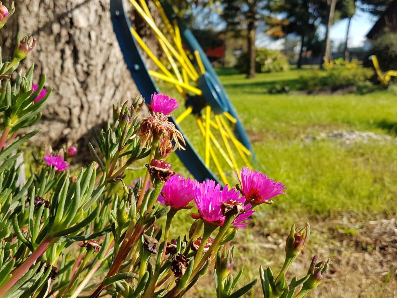Cabanas Risso Villa Villarrica Dış mekan fotoğraf