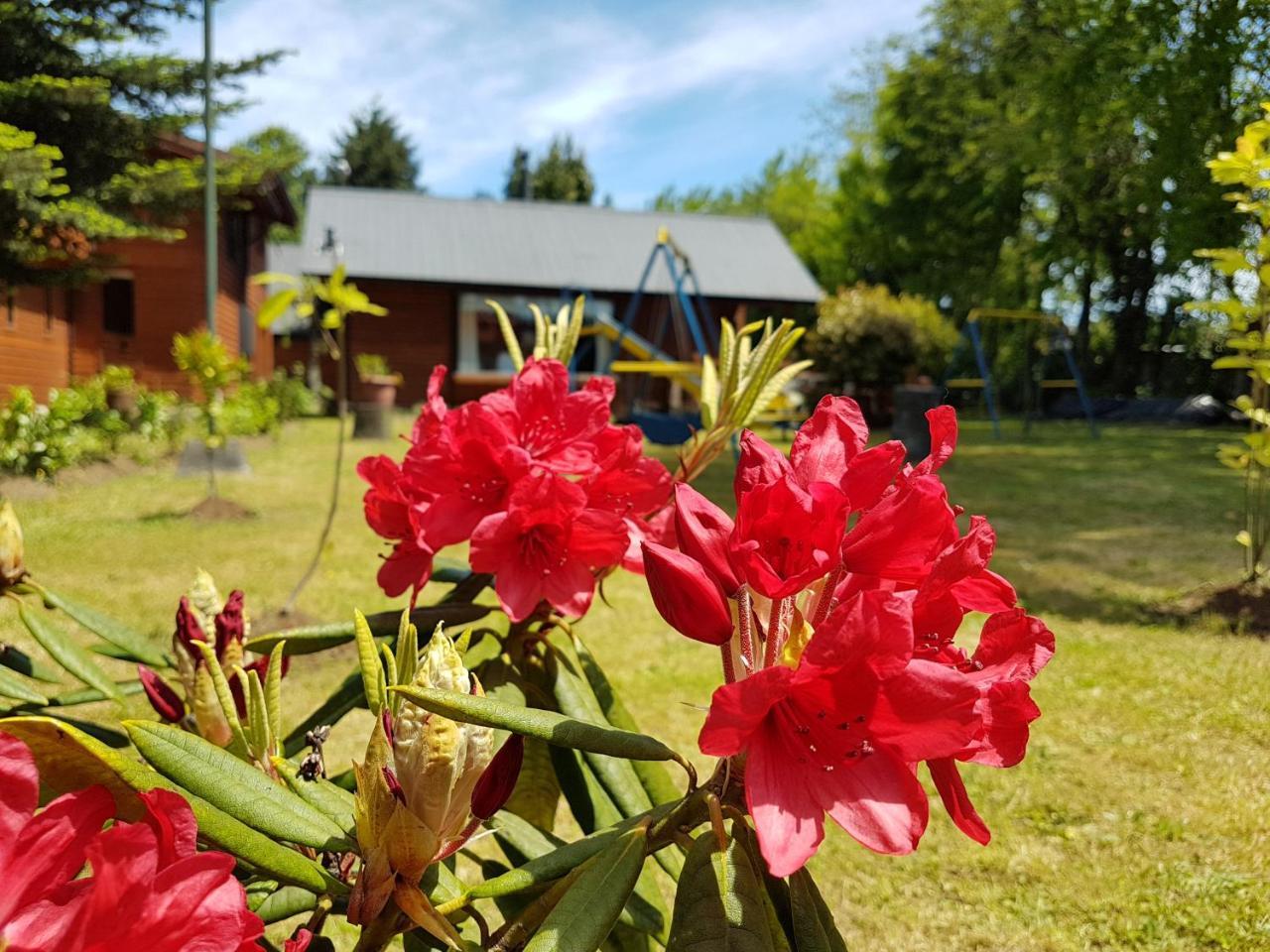 Cabanas Risso Villa Villarrica Dış mekan fotoğraf