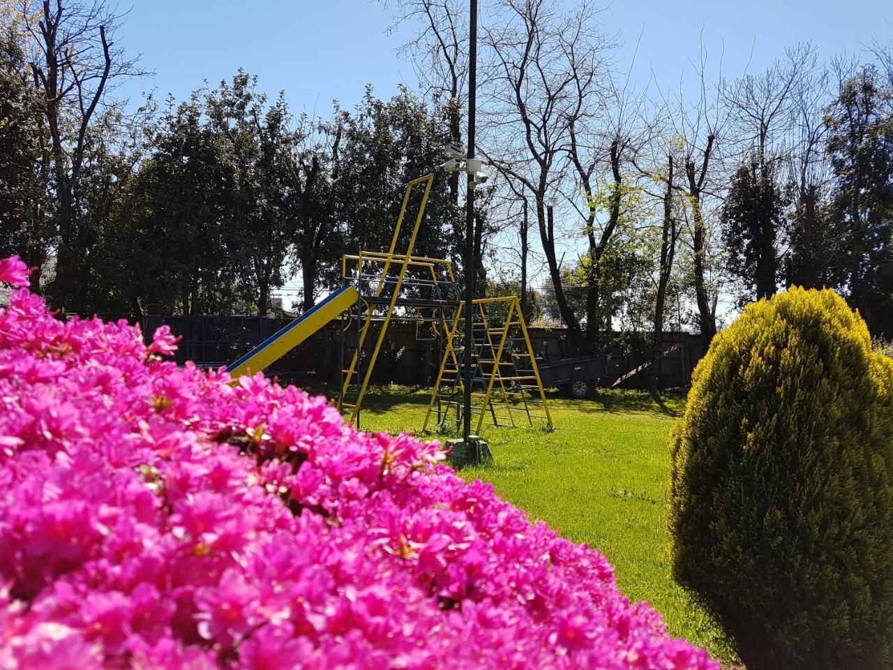 Cabanas Risso Villa Villarrica Dış mekan fotoğraf